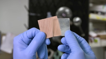 當木材變成透明 足以取代玻璃的永續綠建材