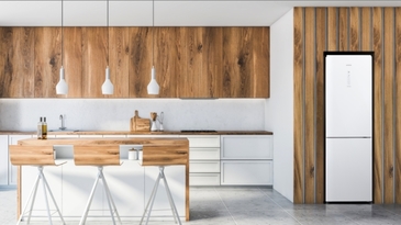 《過年不慌張》窄版美型超吸睛！2022年8款新品家電推薦