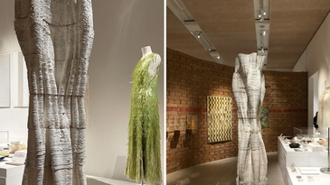 可以吃的建材！開創建築的無限可能性