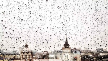 面對大雨侵襲也不怕，建築有「它」攏免驚！