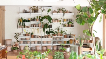 【軟裝2.0】喚醒你對植物的藝術魂！5個綠能爆表的植栽陳列品