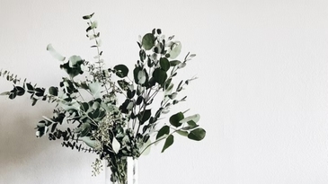 實木、原木家具傻傻分不清？搞懂它們So Easy！