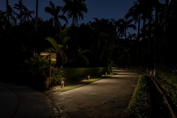 植光計畫減少光汙染！台北植物園打造夜間人與環境和諧共生的光環境步道