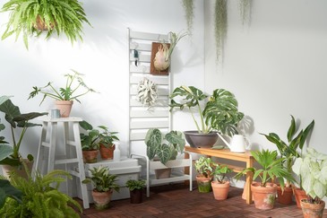 MUJI無印良品松高旗艦店開幕，公開必買 TOP10