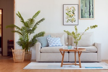 3大技巧打造「氧氣感」宅居，讓夏日居家微整形！