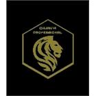 銓益室內裝修實業有限公司,暗架,造型暗架,暗架天花,暗架天花板