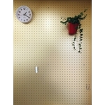 三波利-陽極黃金洞洞牆