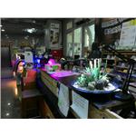 LED植物生長燈