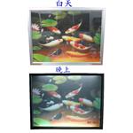 3D立體廣告燈箱-雙禧企業有限公司
