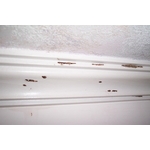 除白蟻-天花板邊條