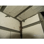 除白蟻-外牆瓷磚