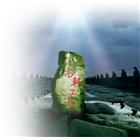 尚軒工程行,鐵皮屋工程,鐵皮屋,道路工程,模板工程