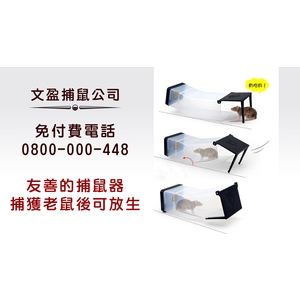 友善的捕鼠器 , 文盈蟲害防治企業社