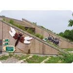 台中都會公園特殊造形