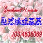 綠坊園藝苑,桃園pe,epe,pe,pe板