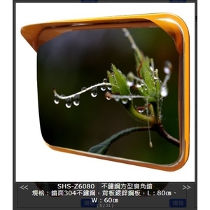 SHS-Z6080 不鏽鋼方型廣角鏡 , 旭宏國際有限公司