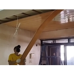 【勁猛工程行】∣中部拆除工程∣塑膠天花板拆除