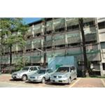 鋁格柵施工實例