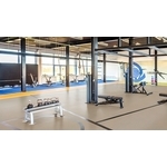 Marmoleum Sport-夢梵麗運動地板-Forbo Flooring Taiwan 福爾波台灣