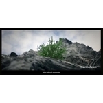 Marmoleum Flooring 夢梵麗亞麻環保地板