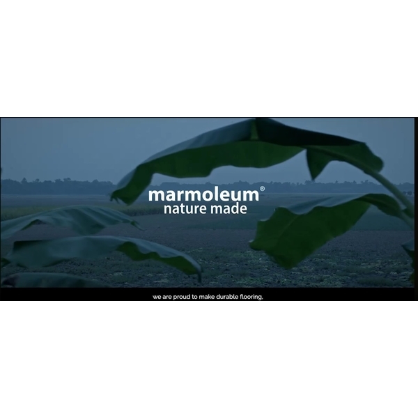 Marmoleum Flooring 夢梵麗亞麻環保地板-Forbo Flooring Taiwan 福爾波台灣