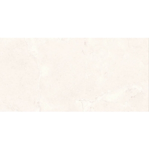 冠軍磁磚 , 豐隆建材行