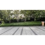 綠籬修剪 , 朵森綠美化工作室