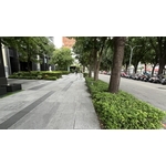 前院維護成果 , 朵森綠美化工作室