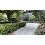 後院維護成果 , 朵森綠美化工作室