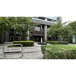 楓香樹6個月維護成果 , 朵森綠美化工作室