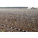 雙管噴水管(噴水帶)