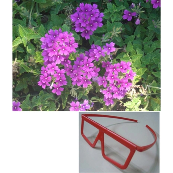 光分離眼鏡-上棚企業有限公司