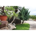 園區景緻-清宏造園