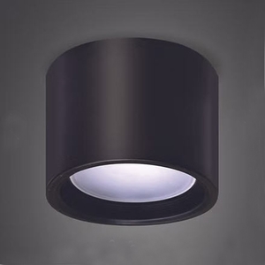 LED吸頂筒燈4吋12W , 永豐照明有限公司