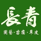 長青園藝苗圃專業草皮