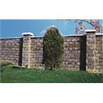 圍牆景觀-宜昌工程有限公司