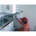 鴻亞環境衛生消毒有限公司,登革熱