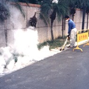 一般除蟲 , 中華除蟲股份有限公司