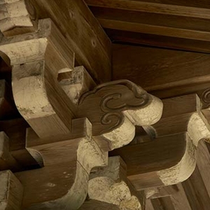 蛀蟲處理 , 中華除蟲股份有限公司