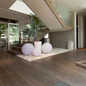 家屋害蟲 , 中華除蟲股份有限公司