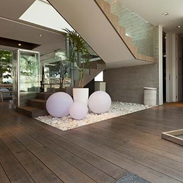 家屋害蟲-中華除蟲股份有限公司