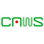 強安威勝股份有限公司,uv,UV塗裝