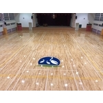 室內大型球場地坪