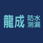 龍成防水測漏工程有限公司 龍成防水測漏工程有限公司,台北epoxy