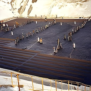 大禹熱熔式片材 , 大禹實業股份有限公司