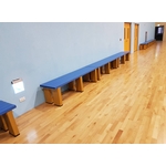 803A 水中教學椅