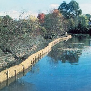 椰柱 , 甲盟實業有限公司