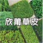 欣莆草皮農園