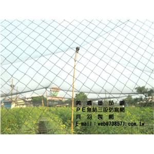 三股防鳥網2.5*2.5公分防止白頭翁 , 貝羽製網