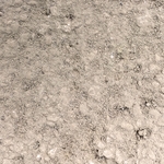 白洲土-ND-5 , 鴻泰國際企業有限公司